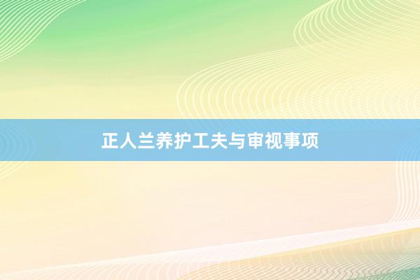 正人兰养护工夫与审视事项
